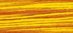 (image for) Hot Rod